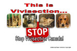 Stop_Vivisection_Canada