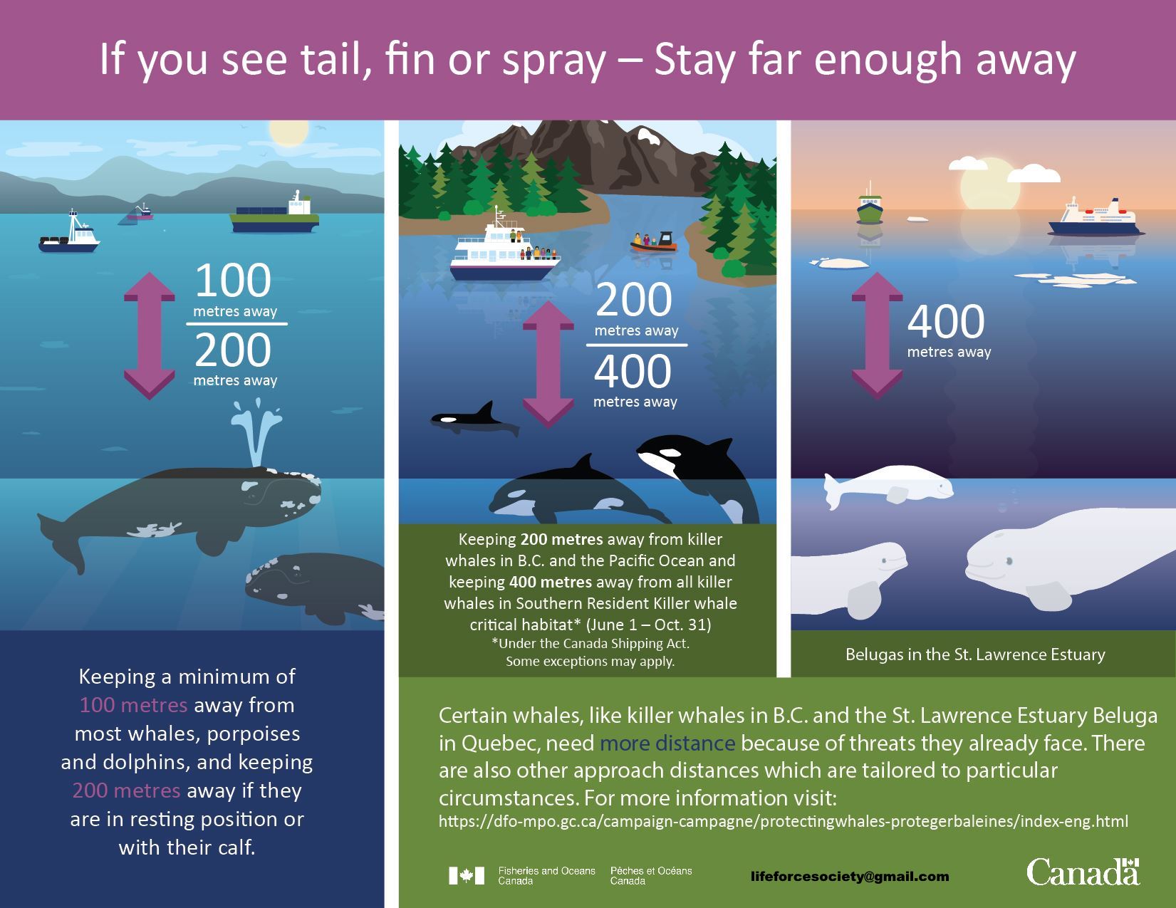 Canadian Whale Protection Regulations 2019