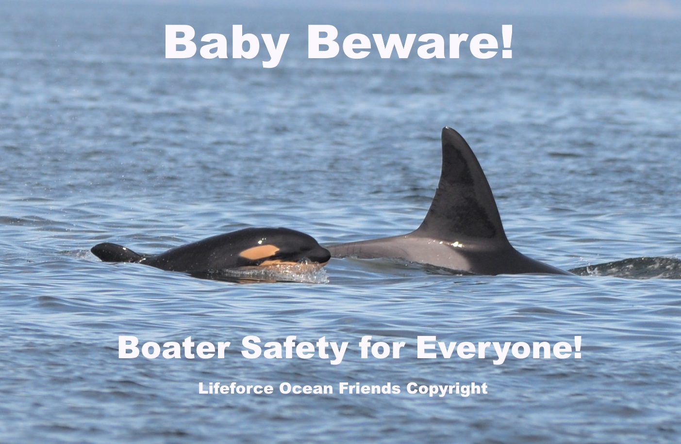 Boating Season Opens: Protect Babies And Boaters