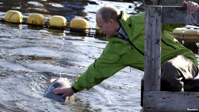 Stop Sochi Winter Olympics Dolphin Abuses