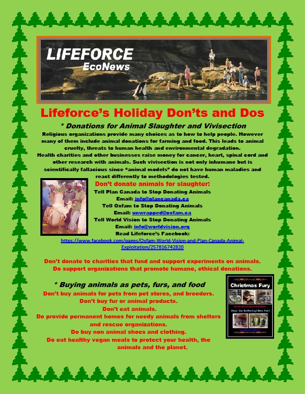 Lifeforce Holiday Don