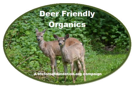 Say No To Bc Deer Bounty And Killings!