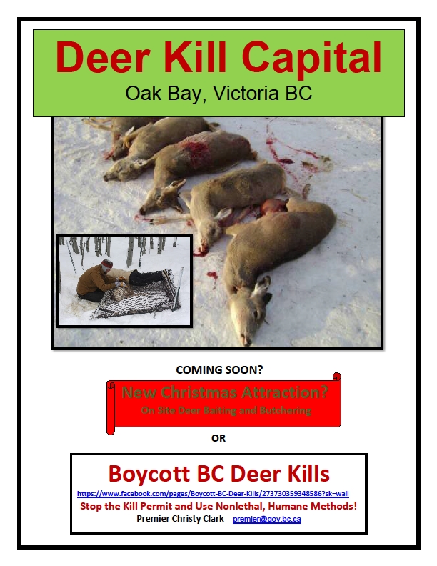 Elkford Deer Kill Permit Revoked