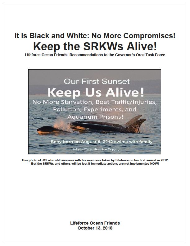 Last Chance To Comment On Orca Protection!