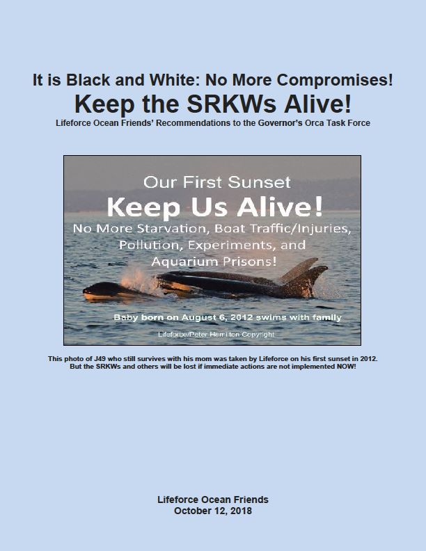 Comments Urgently Needed To Save Orcas And Oceans!