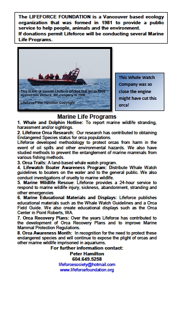 Lifeforce Marine Life Programs