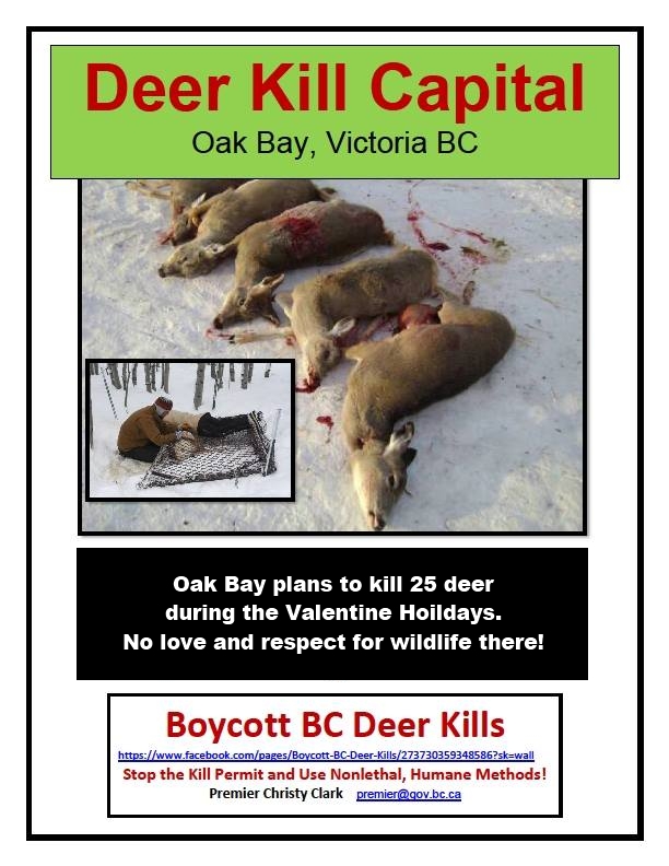 Boycott Bc Deer Kill Capital!