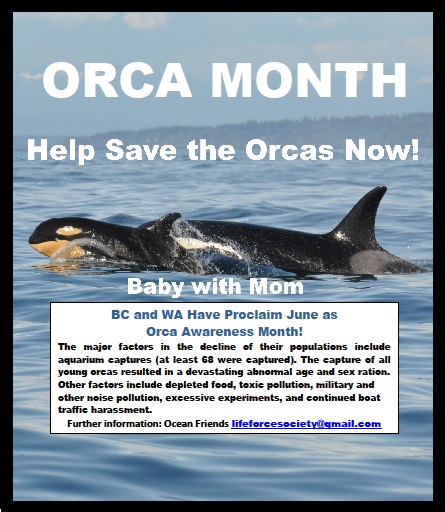 June 2018: Orca Awareness Month