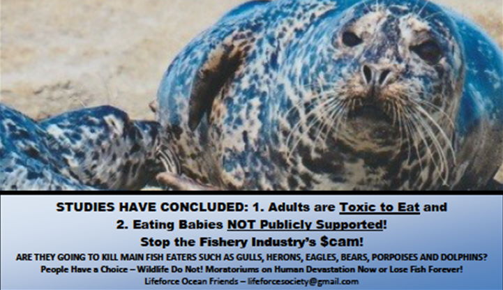 Victory! Bc West Coast Pinniped Slaughter Stopped!