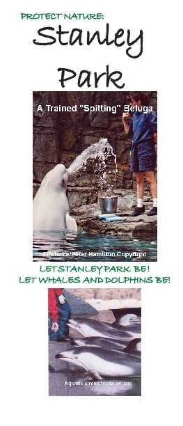 Protect Cetaceans And Stanley Park