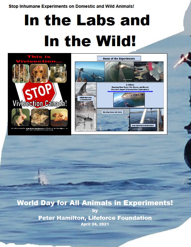The New World Day For All Animals In Experiments!