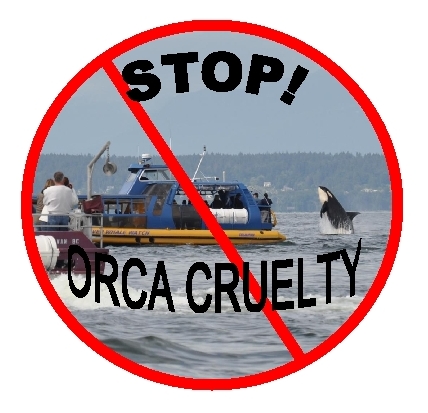 Stop Orca Cruelty