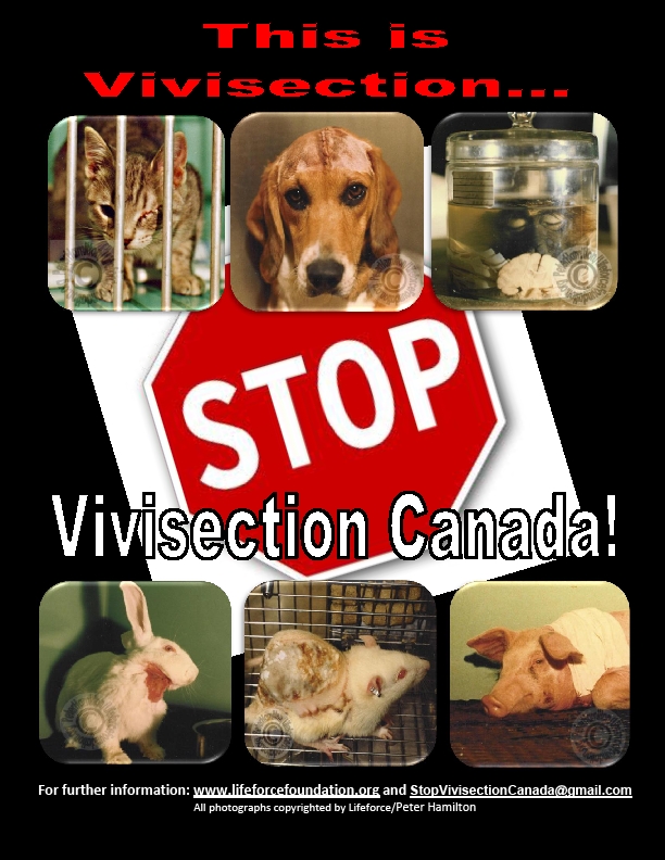 New Lifeforce Campaign: Stop Vivisection Canada!