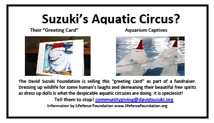 Suzuki’s Aquatic Circus?