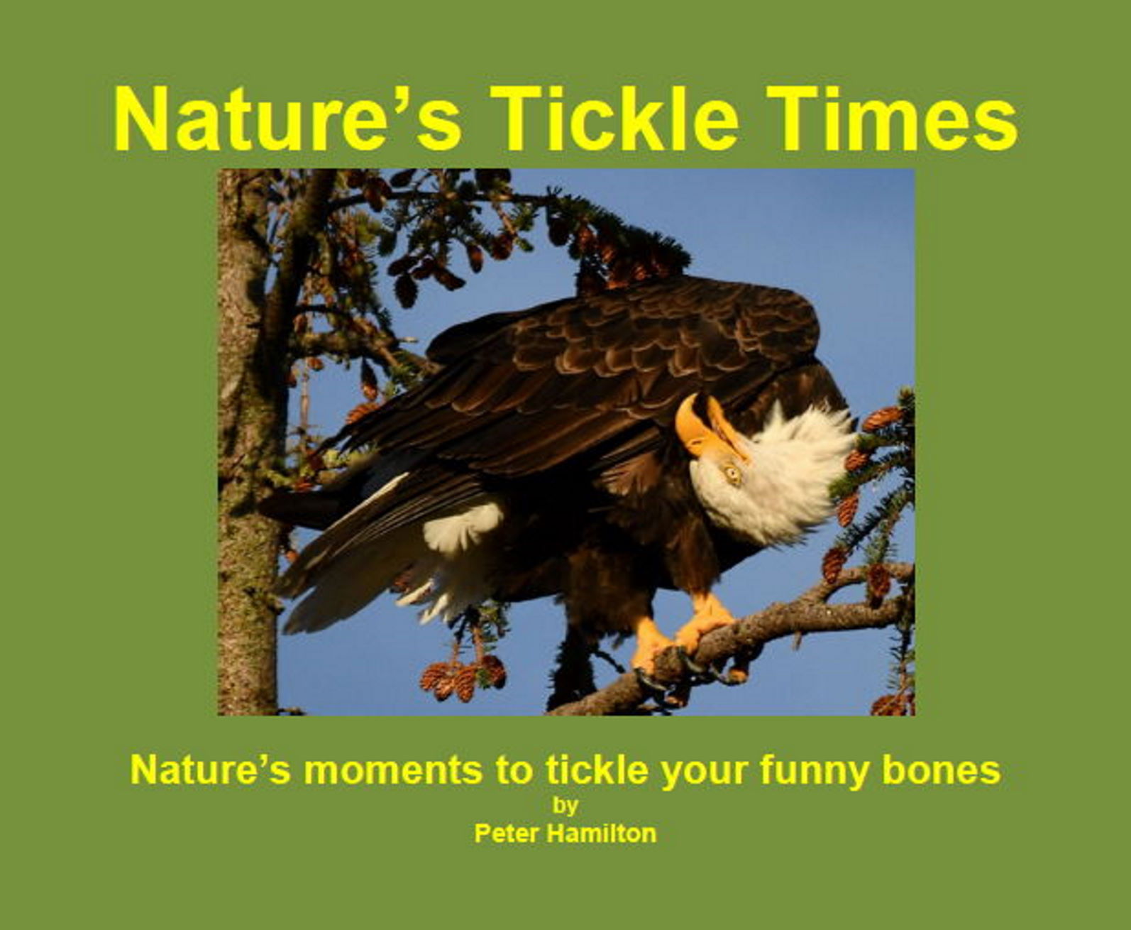 Wildlife Humor For Peaceful Moments!