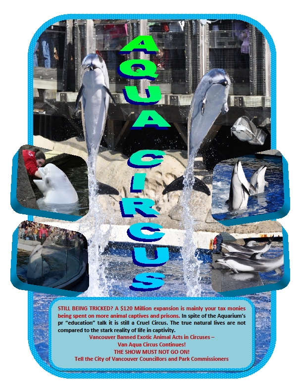 End The Vancouver Aquarium Cetacean Captivity