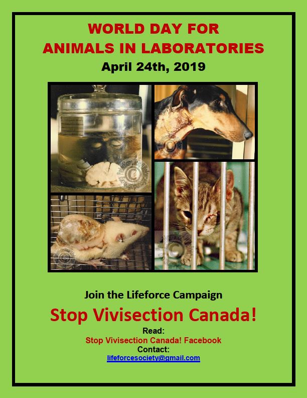 World Day For Animals In Laboratories April 24th!