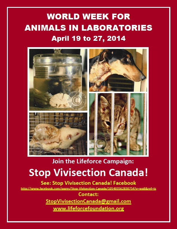World Week For Animals In Laboratories 2014