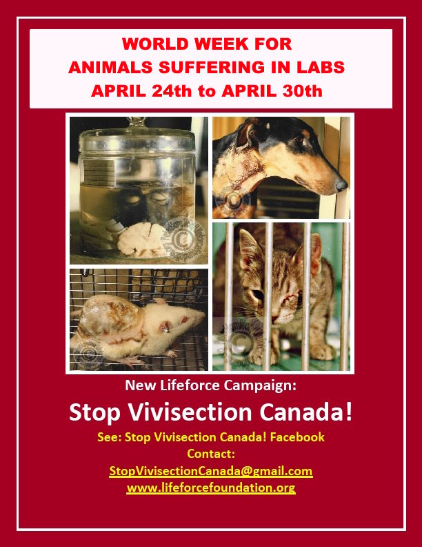 World Week For Animals In Research Laboratories!