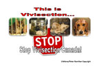 Stop Vivisection Canada!