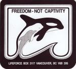 Freedom Not Captivity